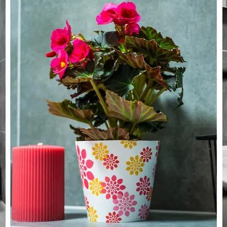 Homely Place Centrum - Stary Rynek - Parking Daire Poznan